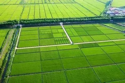 從國(guó)家農(nóng)業(yè)綜合開發(fā)辦2018年工作要點(diǎn)看農(nóng)業(yè)的幾大商機(jī)