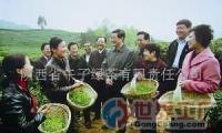 批發(fā)中國(guó)生物農(nóng)業(yè)有機(jī)綠茶科技開發(fā)項(xiàng)目融資_食品、飲料_世界工廠網(wǎng)中國(guó)產(chǎn)品信息庫(kù)
