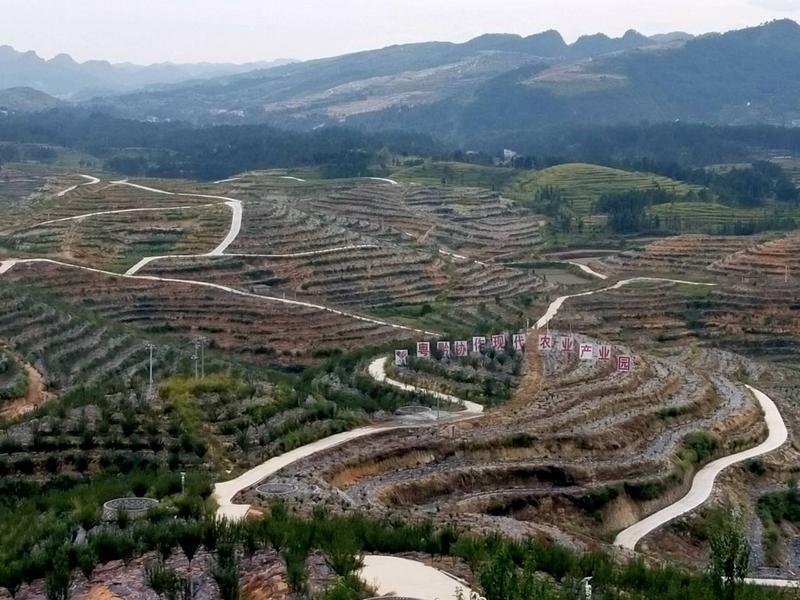 廣黔幫扶:&ldquo;招商引資,以商帶商&rdquo;,白云干部建現(xiàn)代農(nóng)業(yè)產(chǎn)業(yè)園帶領(lǐng)當(dāng)?shù)厝罕娭赂?></a></div>
<div   id=