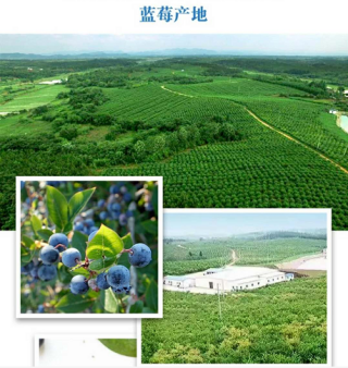 鄂州梁子湖白龍有機(jī)農(nóng)業(yè)科技開發(fā)企業(yè)簡介